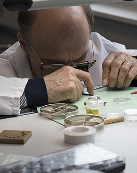 杰兰·埃文斯-天桥区万国维修服务中心制表师